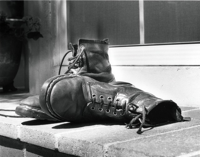 musica reggae colectivo norte